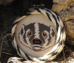 (image for) American Badger